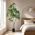 Large 210cm artificial Pachira money tree in black pot