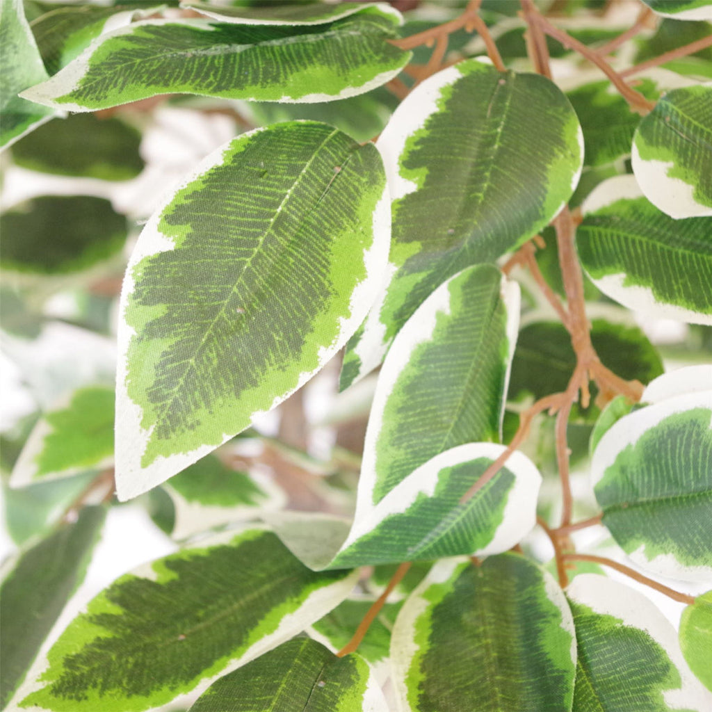 130cm variegated artificial ficus tree with white-edged leaves – view 3