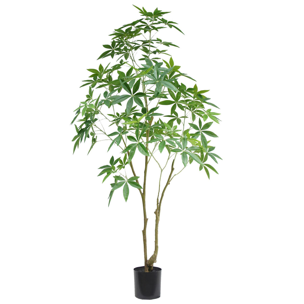Large 210cm artificial Pachira money tree in black pot – view 2